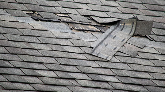  Commercial Roofing Contractors Isle Of Palms, SC